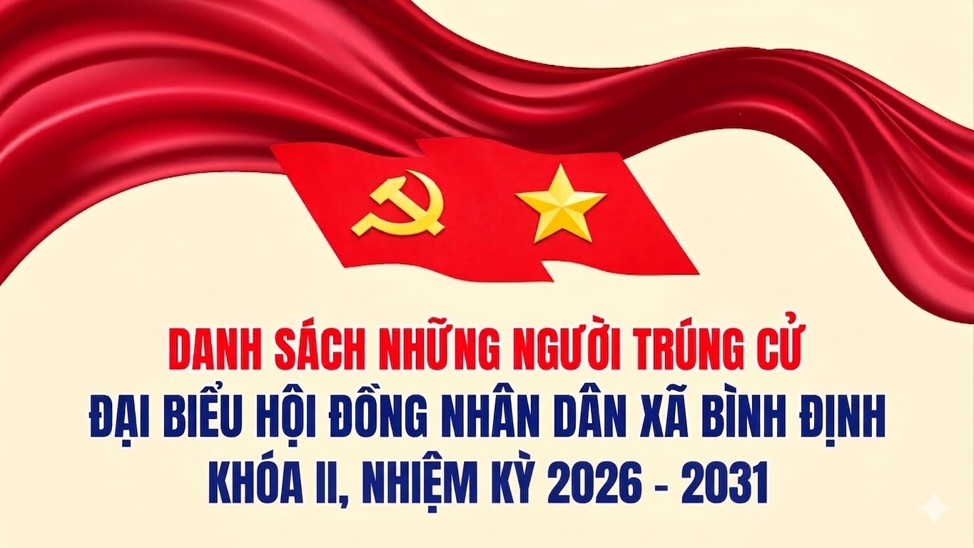 Danh sách 20 người trúng cử đại biểu Hội đồng nhân dân xã Bình Định Khóa II, nhiệm kỳ 2026 - 2031