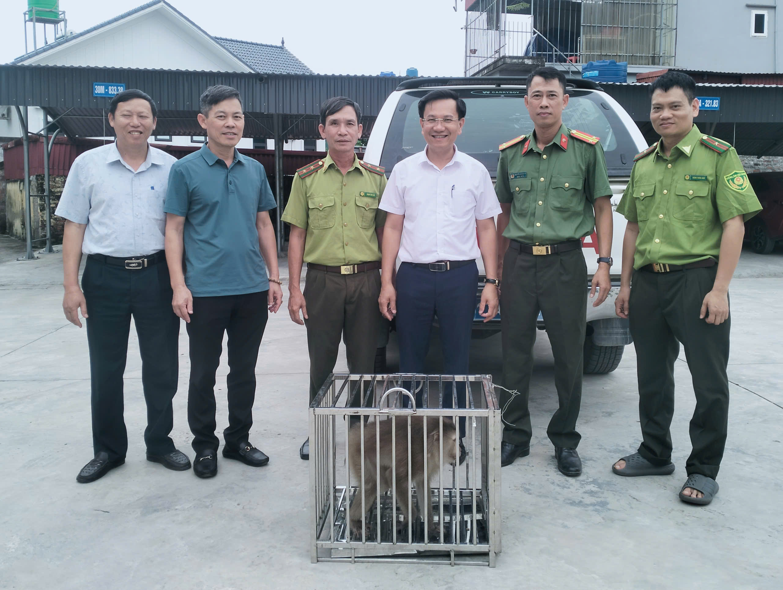 Bình Định phối hợp giải cứu, tiếp nhận cá thể khỉ hoang dã theo quy định